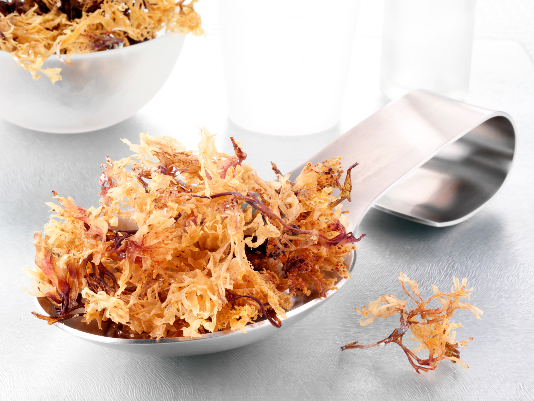 JAMAICAN IRISH MOSS