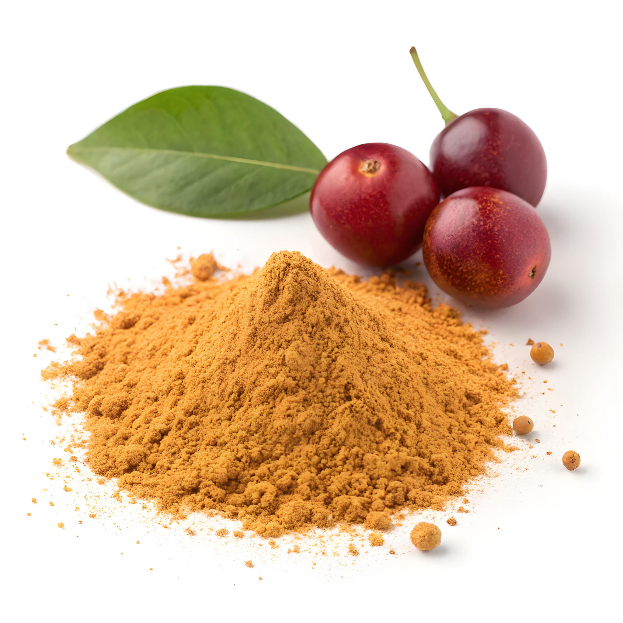 Camu Camu the natural Vitamin C Powerhouse